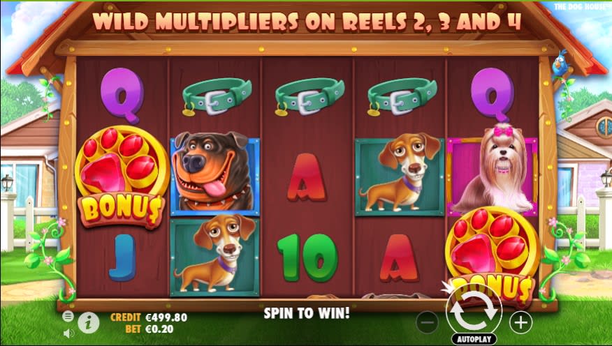 Best Online Casino Slots Guide 2026