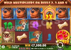 Slot Bonus Features Explained Guide 2026